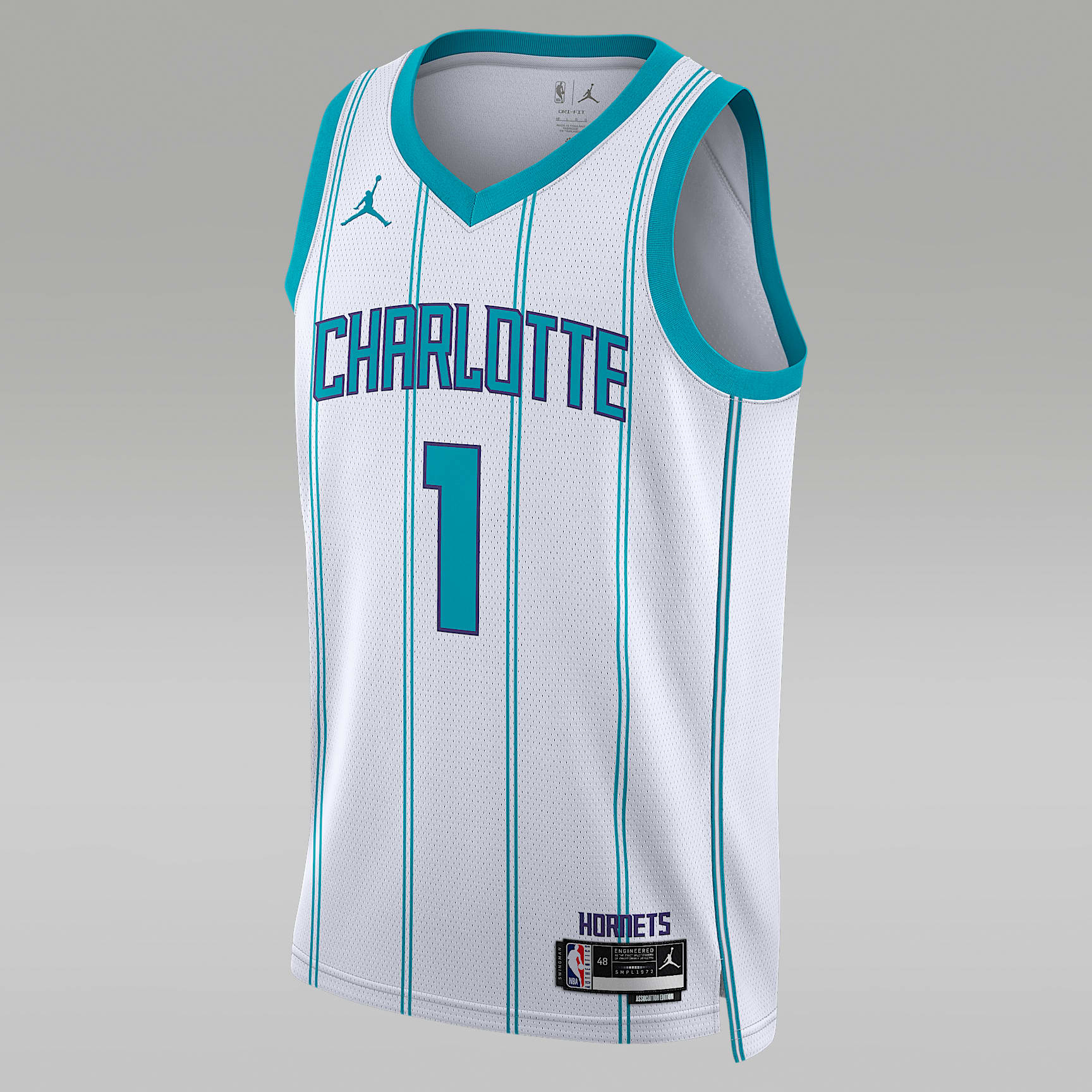 Charlotte Hornets Association Edition Men's Jordan Dri-FIT NBA